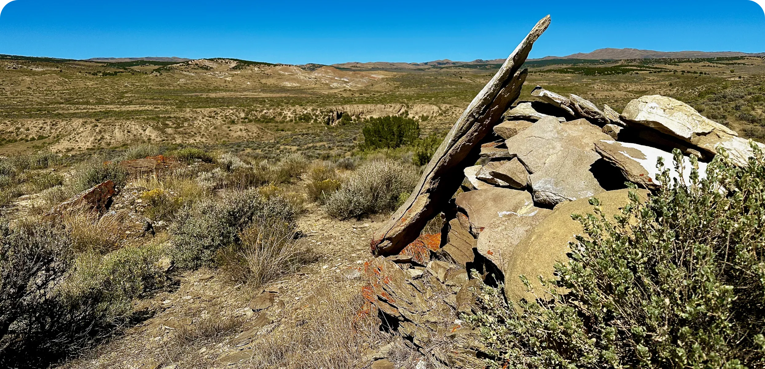 Coyote Basin
